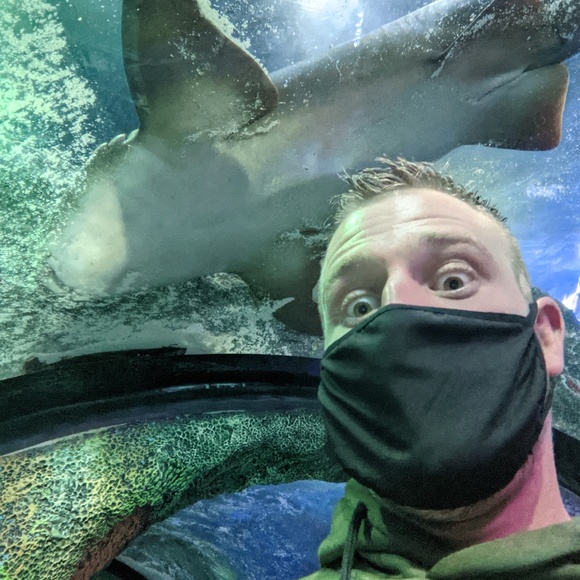 Meet your Posher, Mark - Picture 1 of 1